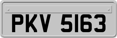 PKV5163
