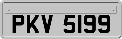 PKV5199