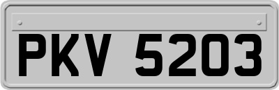 PKV5203