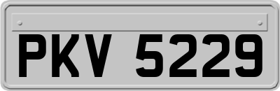 PKV5229