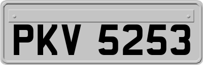 PKV5253