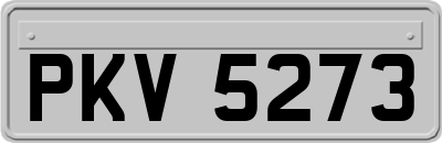 PKV5273