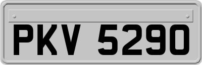 PKV5290