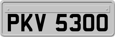 PKV5300