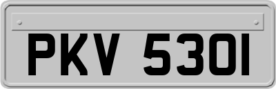 PKV5301