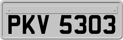 PKV5303