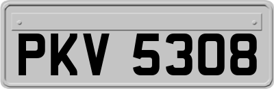 PKV5308