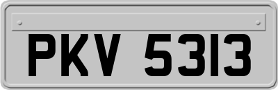 PKV5313