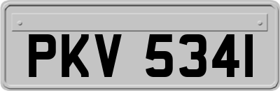 PKV5341