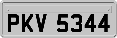 PKV5344