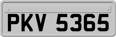 PKV5365