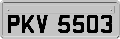 PKV5503