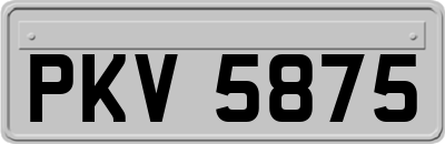 PKV5875