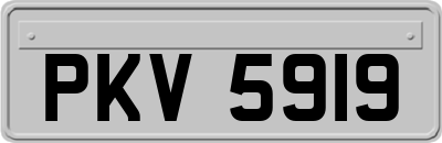 PKV5919