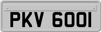 PKV6001