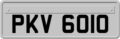 PKV6010