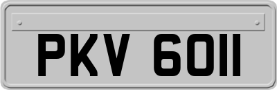 PKV6011