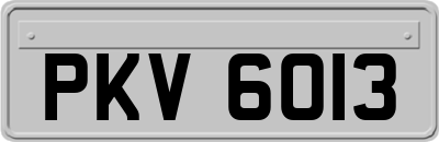 PKV6013