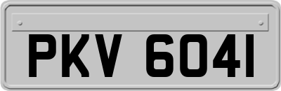 PKV6041