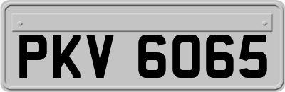 PKV6065