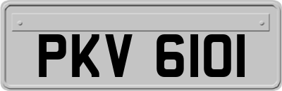 PKV6101