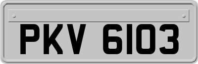 PKV6103