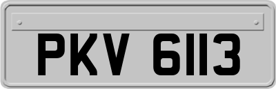 PKV6113
