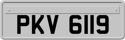 PKV6119