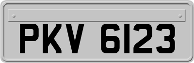 PKV6123
