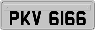 PKV6166