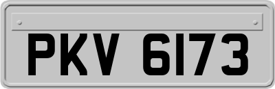 PKV6173