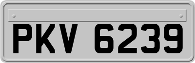 PKV6239