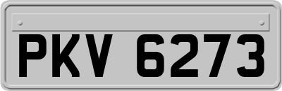 PKV6273