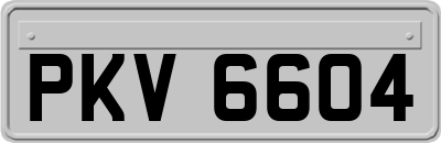 PKV6604