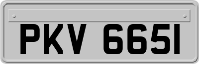 PKV6651