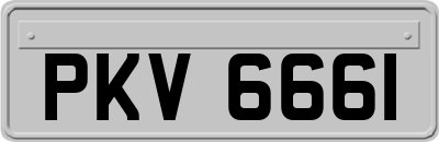 PKV6661