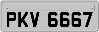 PKV6667