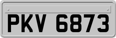 PKV6873