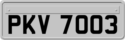 PKV7003