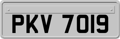 PKV7019