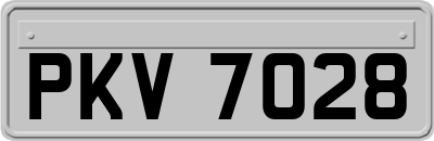 PKV7028