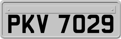PKV7029