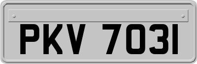PKV7031