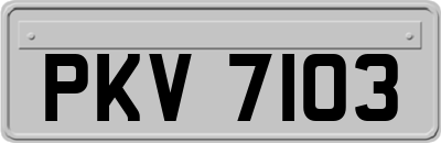 PKV7103