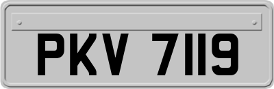 PKV7119