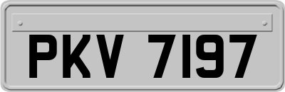 PKV7197