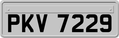 PKV7229