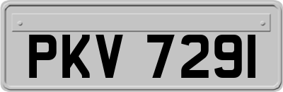 PKV7291