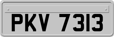 PKV7313