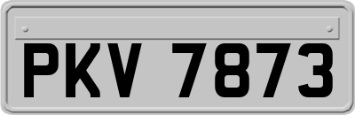 PKV7873
